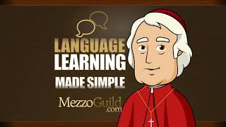 Can you learn languages the way children do?