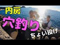 内房堤防で穴釣り&ちょい投げしたら、あの魚のパラダイスだった！【入れ食い】