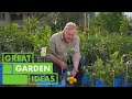 How to Grow and Care For Citrus Plants | GARDEN | Great Home Ideas