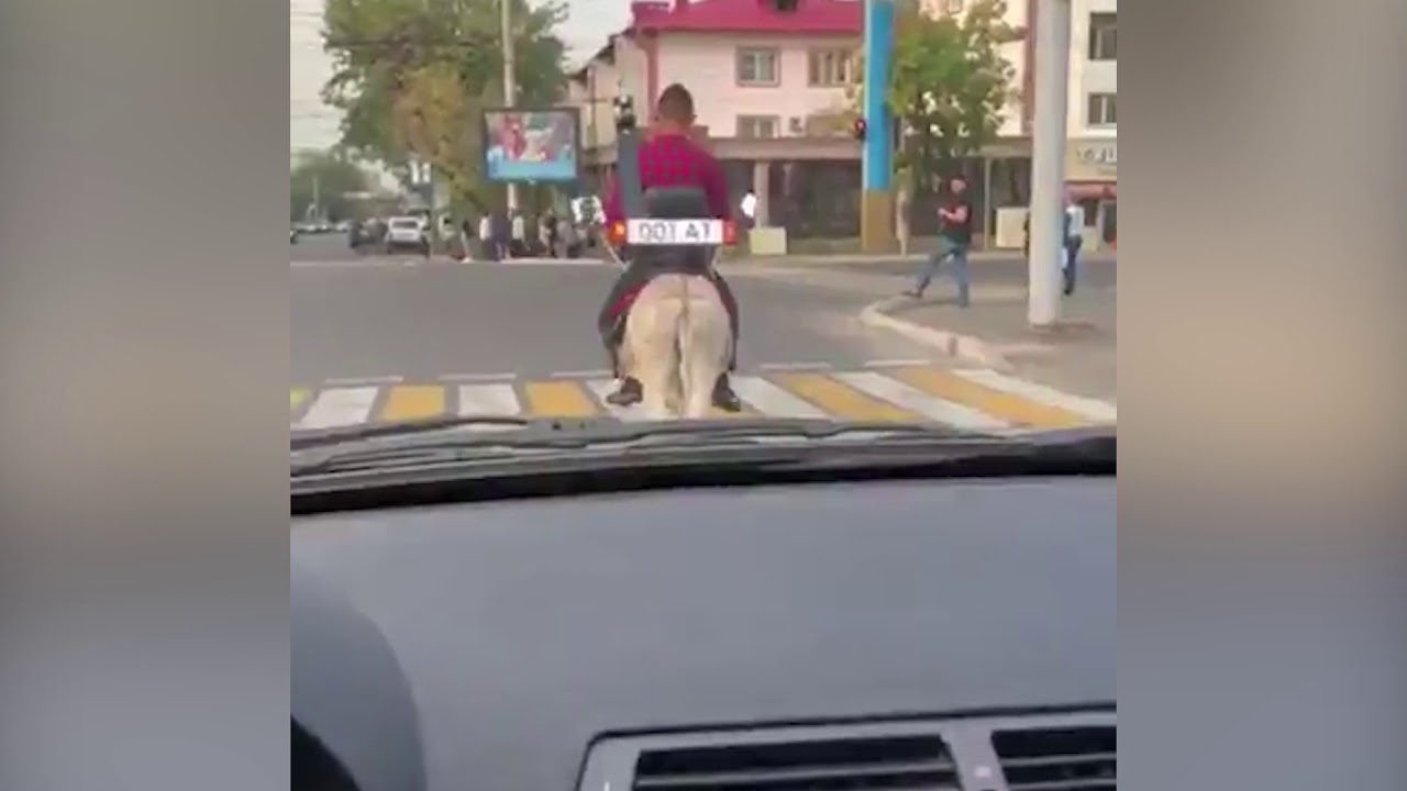 Қыз емес қынаптардың фотосуреттері Жылжымалы фотосуреттер жалаңаш