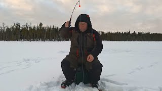 видео: На проверенное место за щукой. Рыбалка в Карелии. картинка: На проверенное место за щукой. Рыбалка в Карелии.