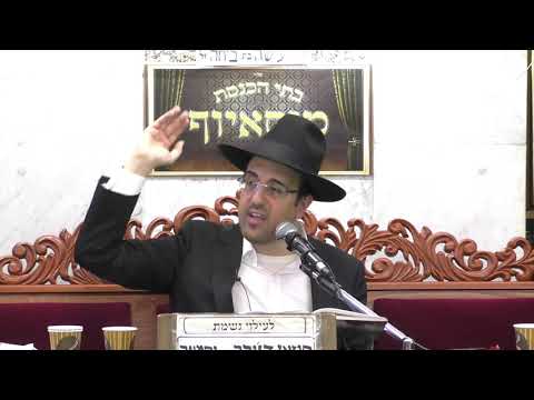 הרב מאיר אליהו | פרשת חיי שרה | מוסאיוף - ה׳תשפ״א