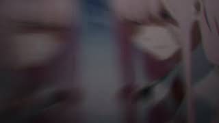ZERO TWO EDIT - amv video star
