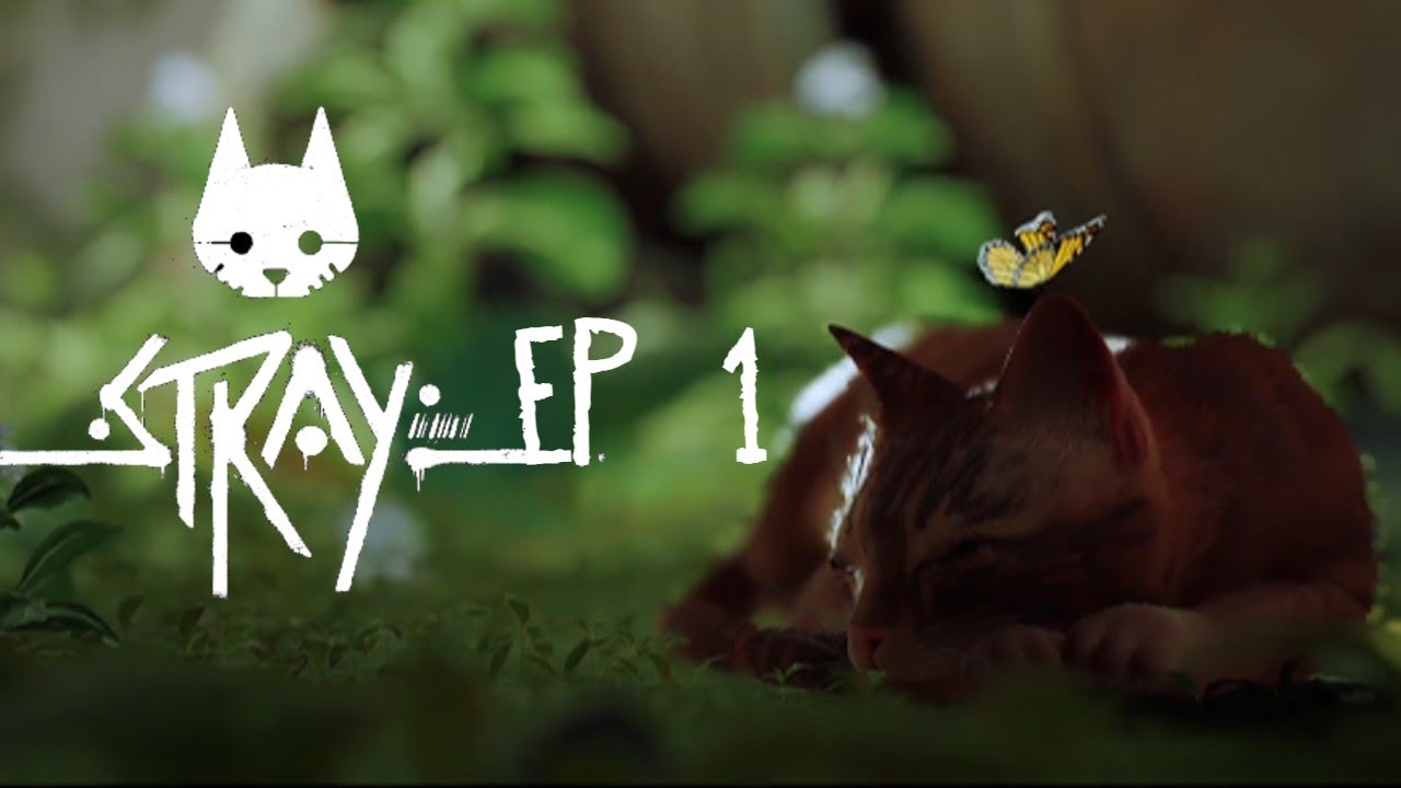 STRAY - Ep1
