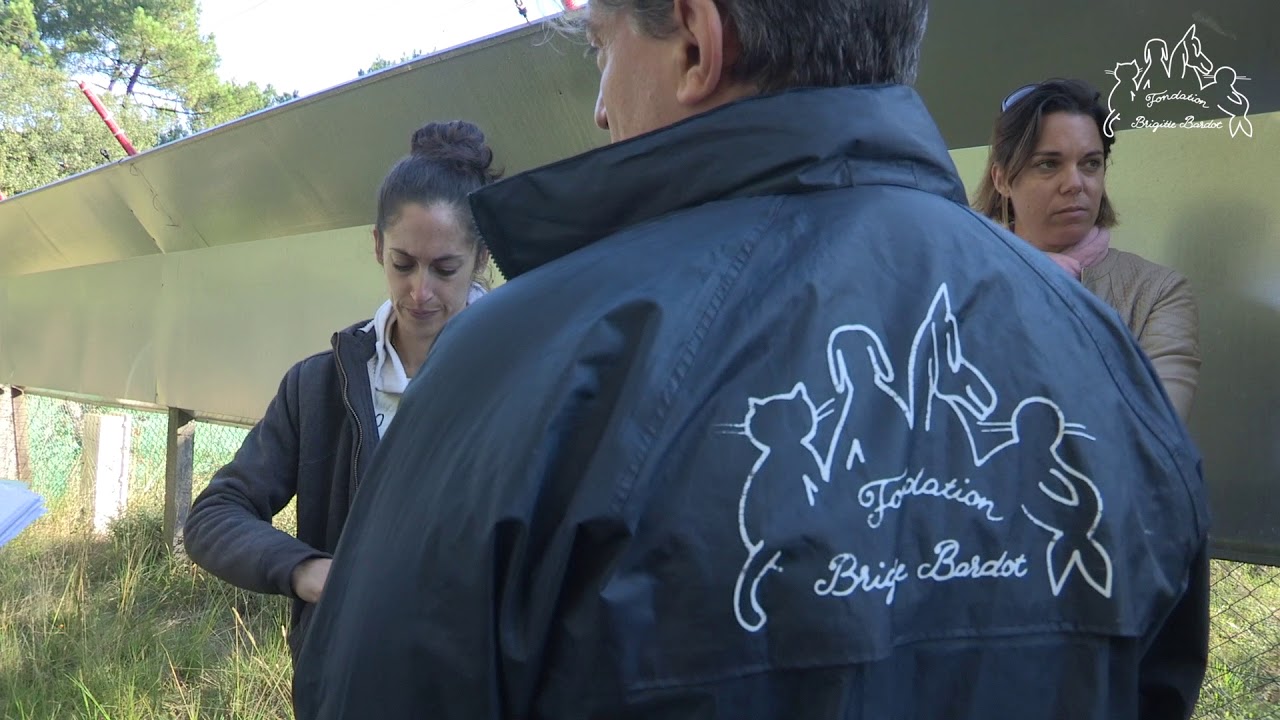 Sauvetage FBB : les macaques survivants de Labenne rejoignent le refuge de l'Arche