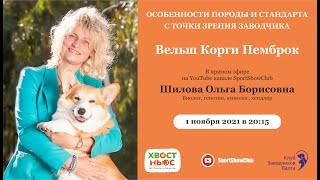 ВЕЛЬШ КОРГИ ПЕМБРОК / Спикер - Шилова Ольга Борисовна