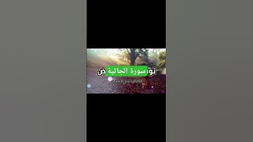 #ما تيسر من سورة الجاثية #ياسر_الدوسري