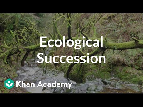 Ecological succession: Change is good | Crash Course ecology | Khan Academy