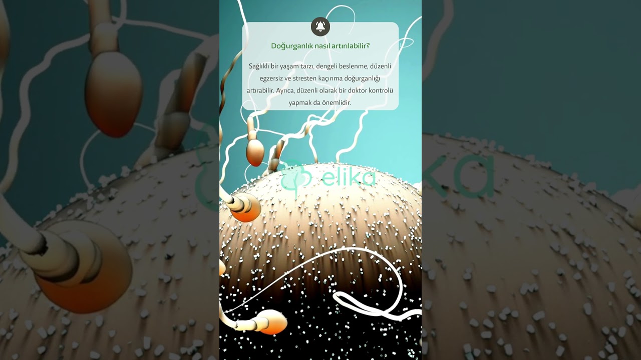 Doğurganlık nasıl artırılabilir? #kadın #kadınsağlığı #hormones - Elika Tv