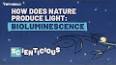 The Fascinating World of Bioluminescence: Nature's Living Lights ile ilgili video