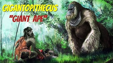 Gigantopithecus || The Largest Ape Ever Walked on This Earth