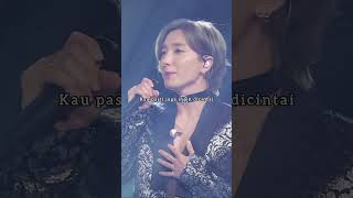 super junior - mirror (sub indo) #superjunior #mirror #elf #suju #foreverelf #sujuelf