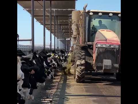 استخدام الميكنه الزراعيه لتنميه الإنتاج الحيوانى ضروره