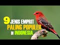 9 JENIS EMPRIT PALING POPULER DI INDONESIA