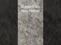 3 de outubro de 2025