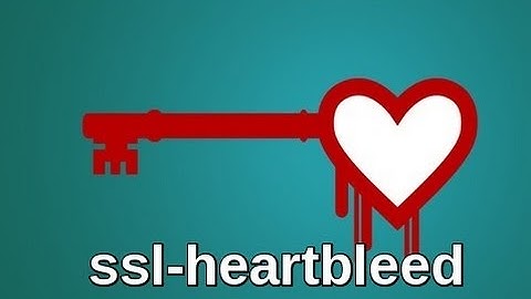 ssl heartbleed