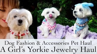 Dog Fashion and Accessories Pet Haul | A Girl's Yorkie #dogfashion #agirlsyorkie by fashionstoryteller 242 views 10 months ago 13 minutes, 8 seconds