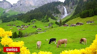 Stäubifall Switzerland 🇨🇭 the Most Amazing Waterfall with Cows Grazing | #swiss