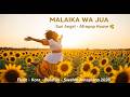 Soulful Amapiano 2026 Malaika Wa Jua Sun Angel Afropop House Swahili 