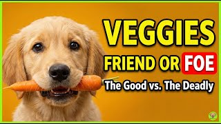 15 Vegetables That Are Great For Dogs And 3 That Are Dangerous