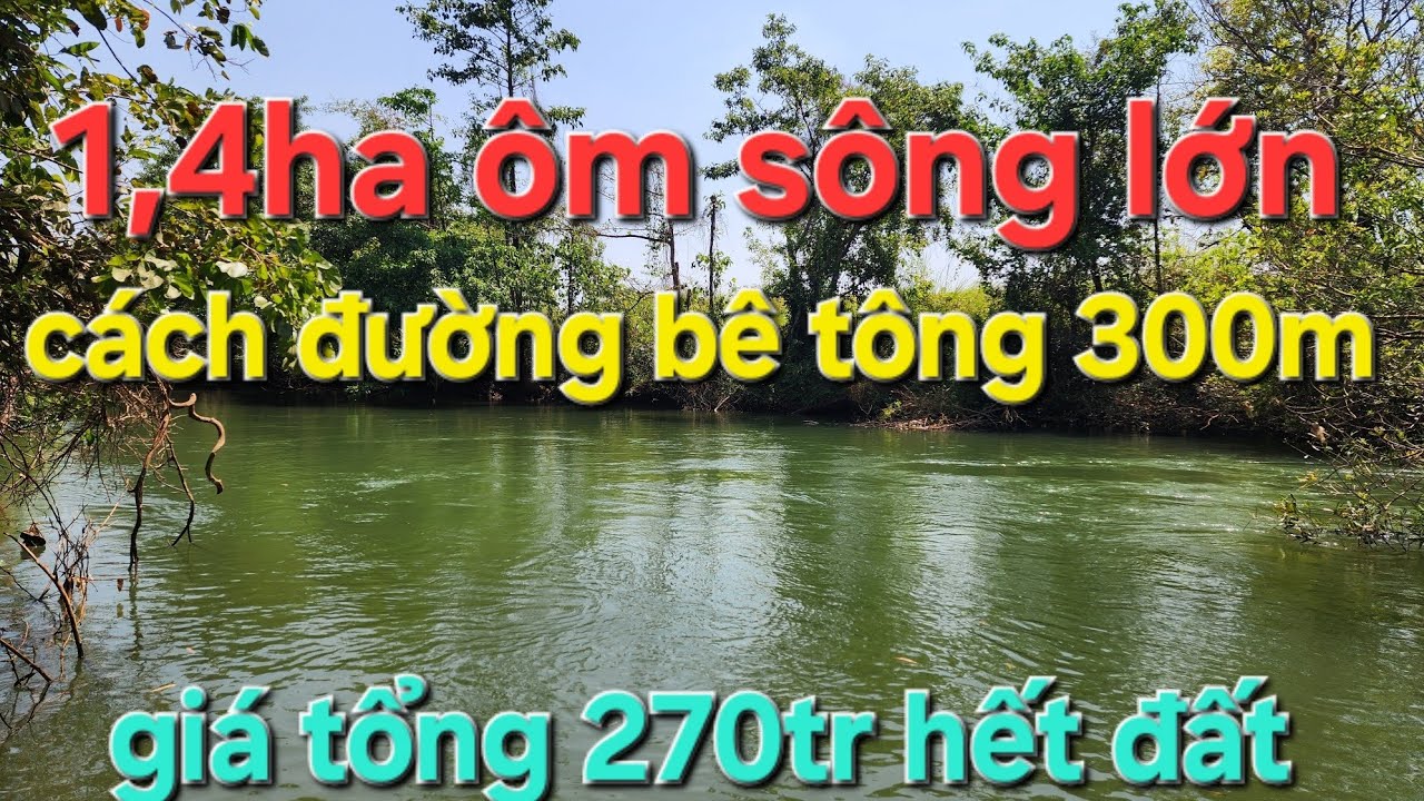 Bán 20trieu ACE cũng không nên mua nhé. Đất đang tranh chấp. ACE cẩn thận nhé 