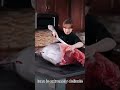 Why a Single Mistake Can Destroy a Million-Dollar Tuna | Master Cutting Secrets