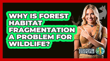 Why Is Forest Habitat Fragmentation A Problem For Wildlife? - Ecosystem Essentials