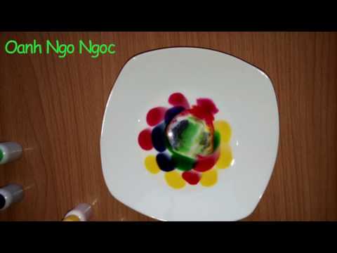 Video Cách làm thí nghiệm 