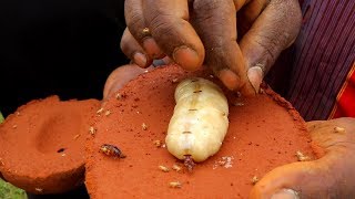Kino kika Omanyi NAMUNSWA Nebyakola ?  Emigaso jje Ne Baawe
