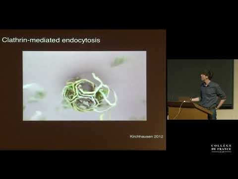 Seeing Is Believing - 3: From Ultra Small Images to Ultra Big Data (2) - P. Sansonetti (2014-2015)