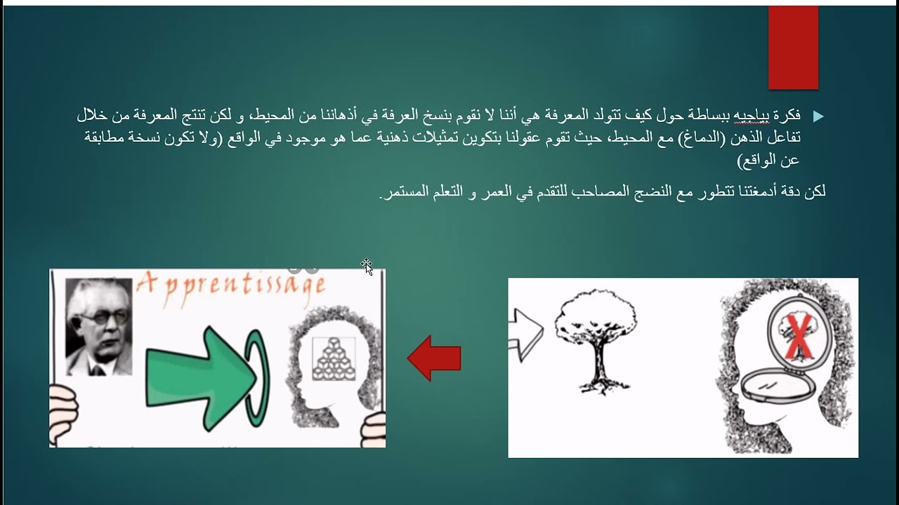 المخططات المعرفية Cognitive Schemas