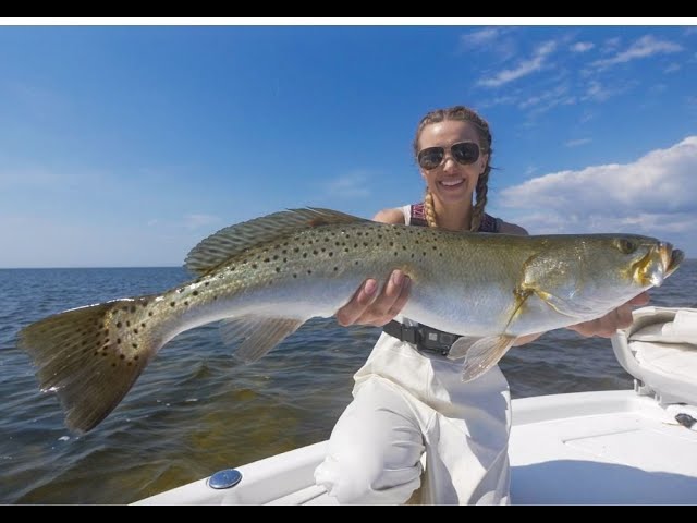 Record Size Speckled Trout! Multiple PB's in Crystal Clear Water