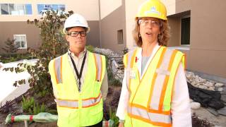 Growing a Healthier South Bay: Healing Garden, Cafeteria & Support Services