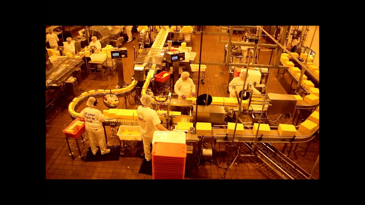 Tillamook Cheese Factory YouTube