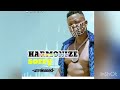 Harmonize Sorry Official Music Video