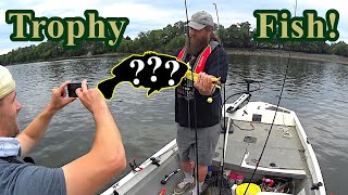 Drifting with large minnows (shiners) | Two unexpected catches on last shiners!