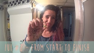 IUI#2: From Start to Finish