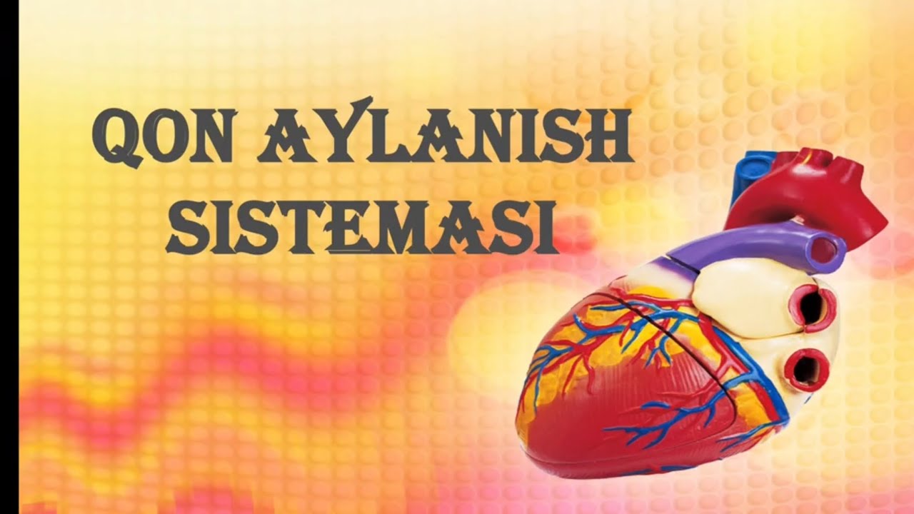 Biologiya 8-sinf. 18-22-mavzular(Qon aylanish sistemasi).