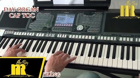 Học Đàn Organ Cấp Tốc TPHCM - DẤU TÌNH SẦU - Trung Tâm Nhạc Rừng