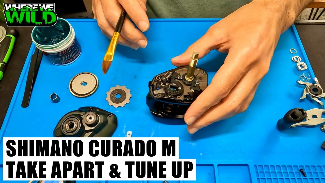 SHIMANO CURADO M - Take Apart & Tune Up - Reel Maintenance 