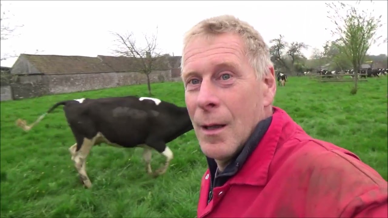 THE BEST OF TURNOUT  ULTIMATE HAPPY COW VIDEO NO MUSIC VERSION