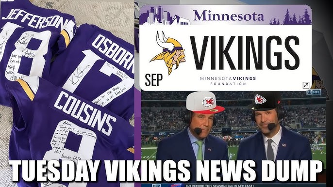 minnesota vikings foundation