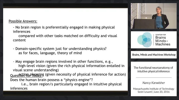 The Functional Neuroanatomy of Intuitive Physical ...