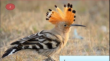 Class 3, General Knowledge, Chapter 9 by Sr. Rosily