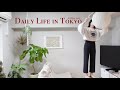 朝起きてから寝るまでのお掃除ルーティン | 部屋を綺麗に保つための工夫 | 冬にぴったりなオーブン料理