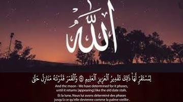 سورة يس سورة الواقعة استمع بنية الرزق والبركة وتيسير الأمور - تلاوة هادئة Surah Yasin, Al Waqiah