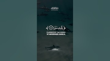ما تيسر من سورة عبس - من روائع قراءات الشيخ عبدالحميد الحاتمي