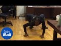 Man acts possessed and spider walks - Daily Mail