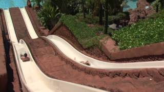 Atlantis Aquaventure & Sea Lion Interaction