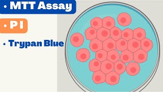 🛑 CELL VIABILITY ASSAYS | MTT Assay | Alamar Blue | Propidium Iodide | Cell TIter Glo